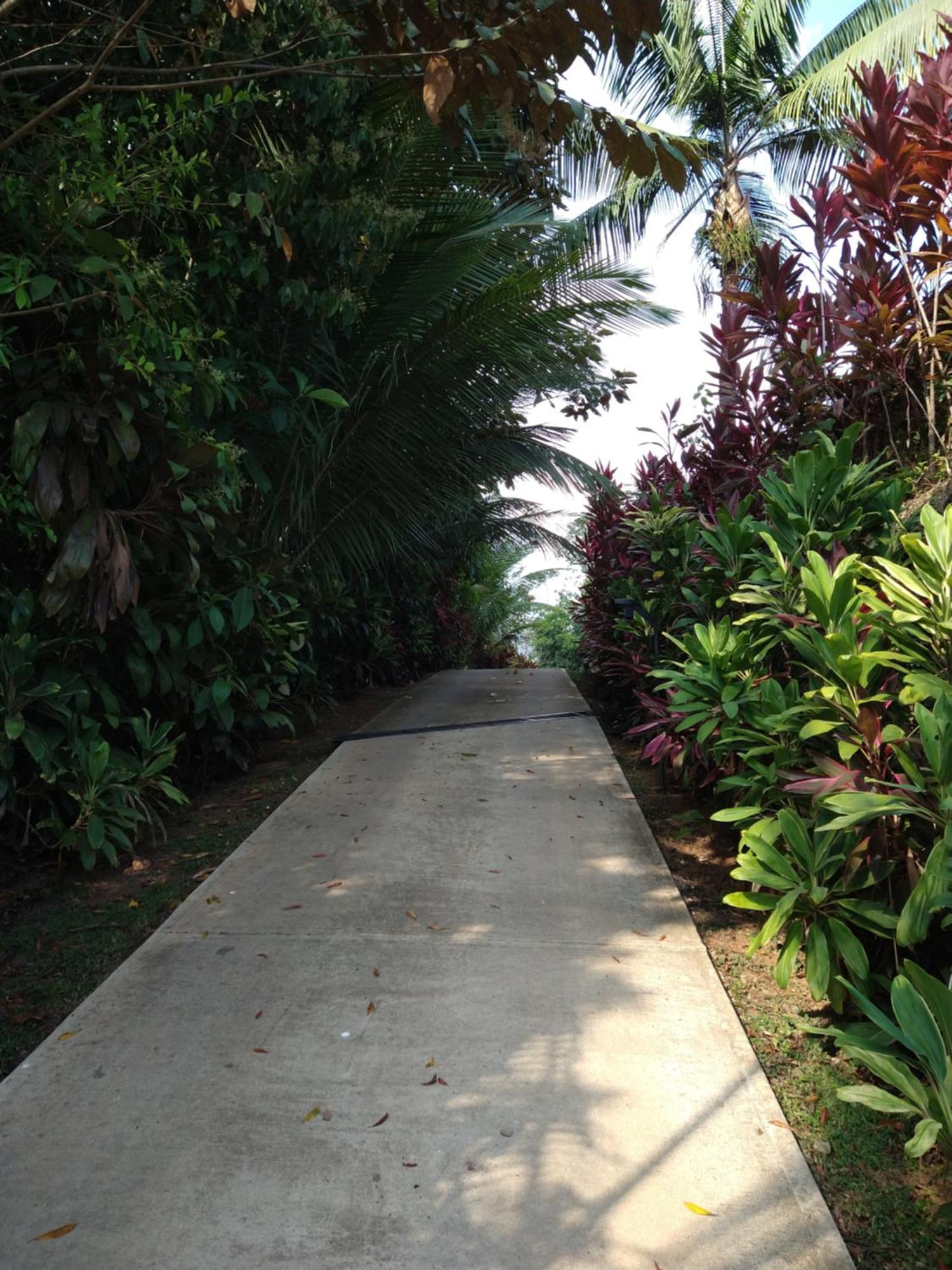 Casas Buenas Brisas Villa โอเฆชาล ภายนอก รูปภาพ