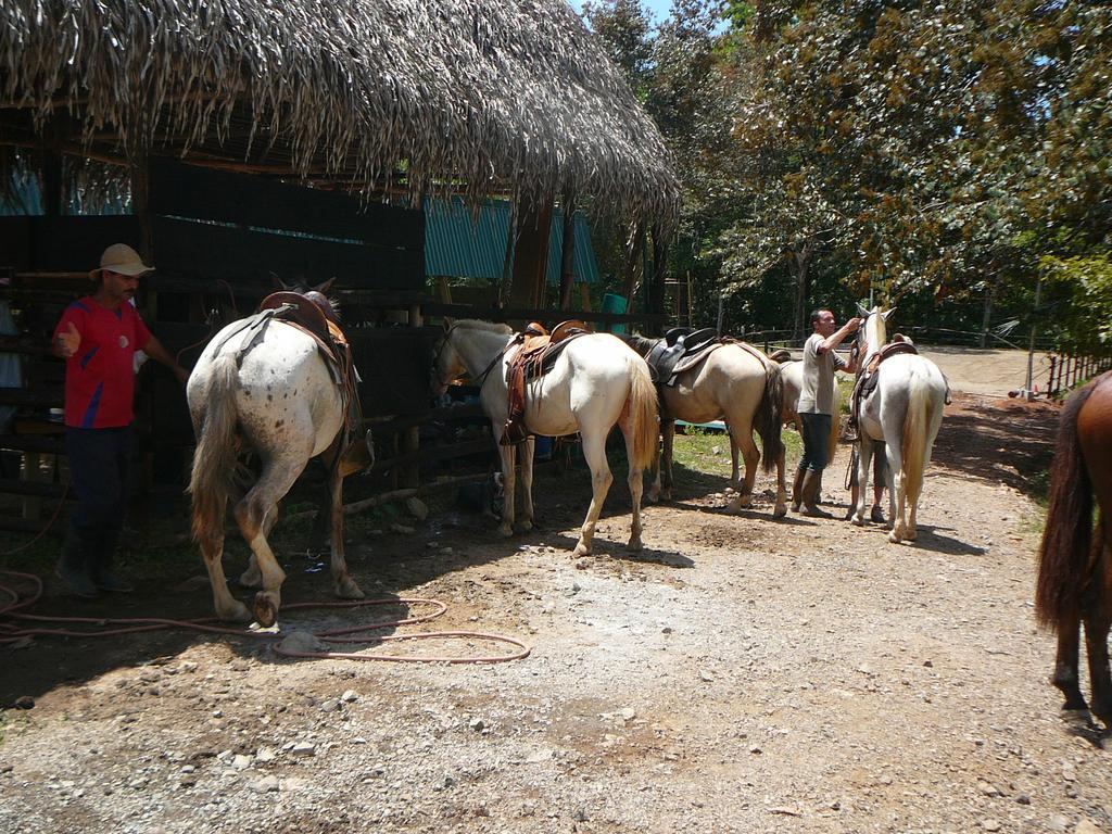 Casas Buenas Brisas Villa โอเฆชาล ห้อง รูปภาพ